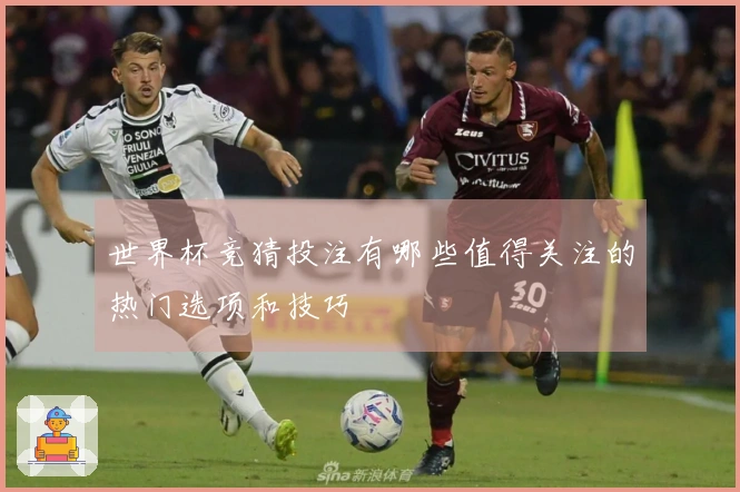 世界杯竞猜投注有哪些值得关注的热门选项和技巧