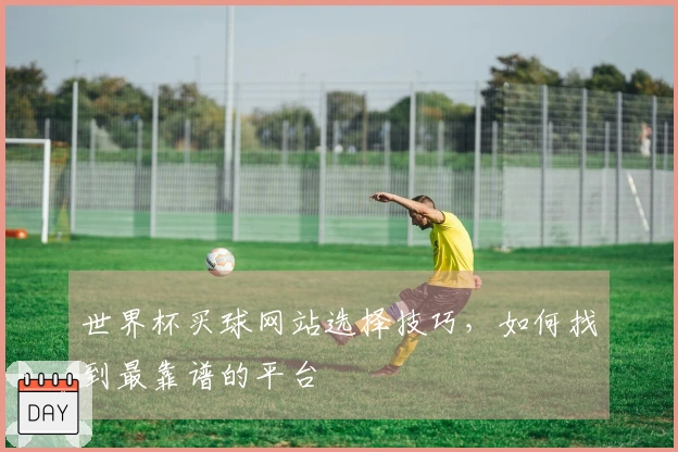 世界杯买球网站选择技巧，如何找到最靠谱的平台
