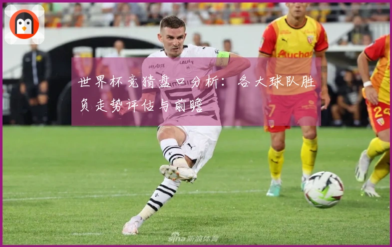 世界杯竞猜盘口分析：各大球队胜负走势评估与前瞻