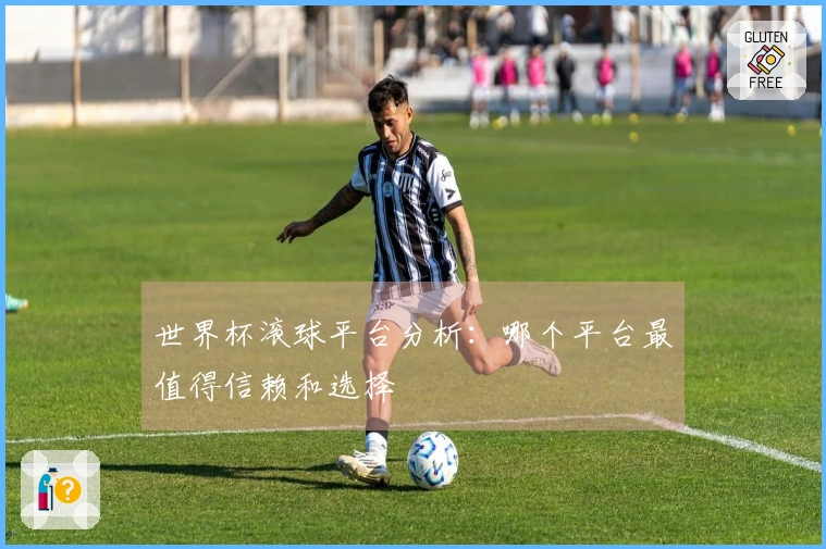 世界杯滚球平台分析：哪个平台最值得信赖和选择