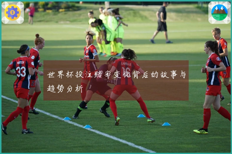 世界杯投注赔率变化背后的故事与趋势分析