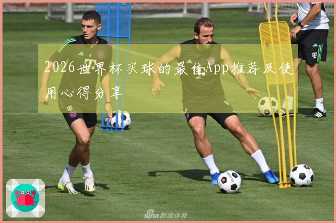 2026世界杯买球的最佳App推荐及使用心得分享