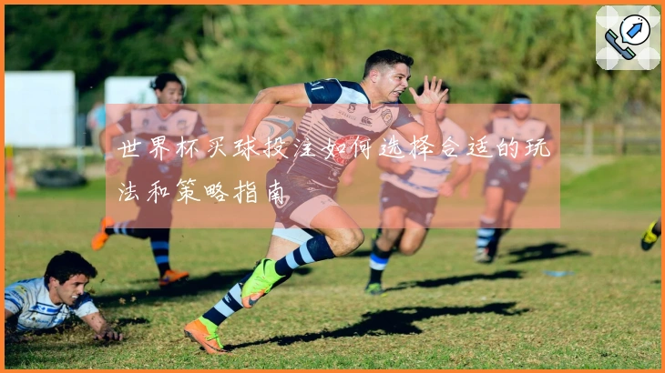 世界杯买球投注如何选择合适的玩法和策略指南