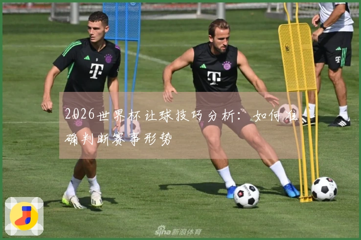 2026世界杯让球技巧分析：如何准确判断赛事形势