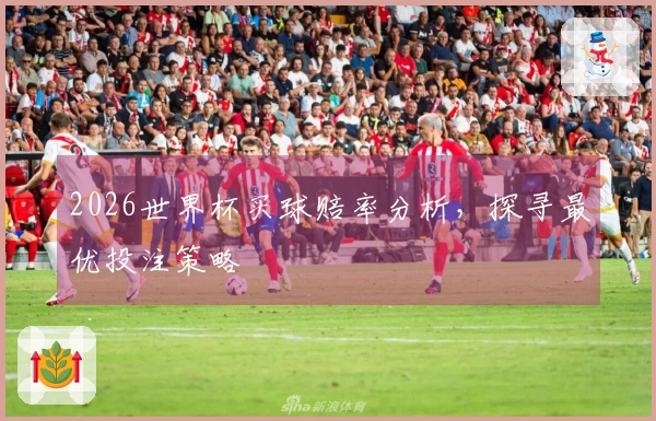 2026世界杯买球赔率分析，探寻最优投注策略
